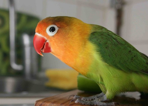 SamuelEgerton's profile picture. 