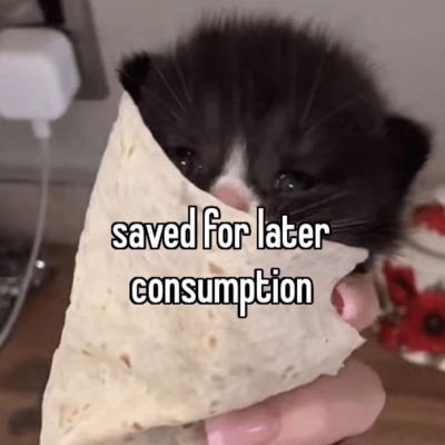 patokascribbles's profile picture. 18+ for gore and sex allegories 😔| 22 | occasionally do art. mostly ocs and fandom