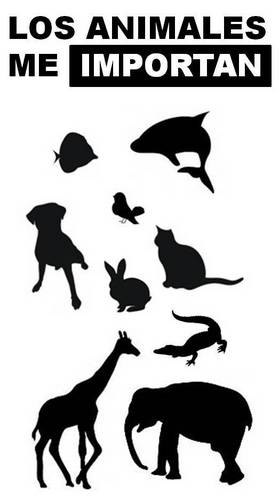 NotiAnimalistas's profile picture. Noticias sobre los Animales y el Movimiento Animalista en Colombia y Latinoamerica.