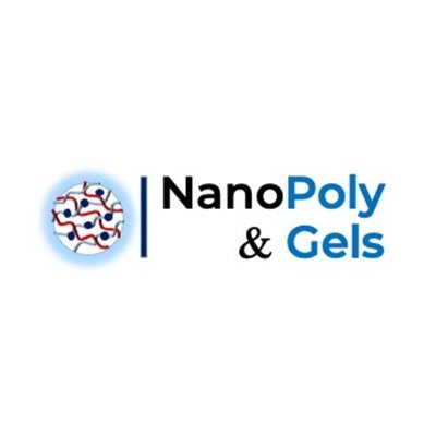 Nanostructured Polymers and Gels Group located at the Polymer Science and Technology Institute of the Spanish Research Council (ICTP-CSIC).