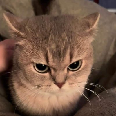 yuni_zi's profile picture. 