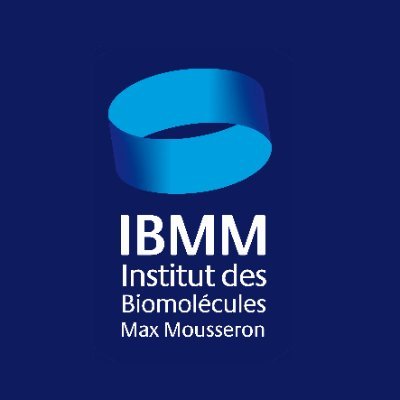 IBMM (Institut des Biomolécules Max Mousseron) is nationally and internationally recognised for its work in the different classes of essential biomolecules.