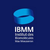 IBMM - Institut des Biomolécules Max Mousseron(@IBMM_Balard) 's Twitter Profile Photo