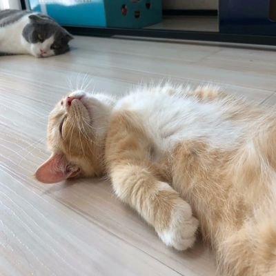 LocaldeenDeen's profile picture. 