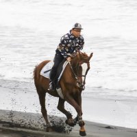 ホースエージェント・岡井塾長 (@oka0527) 's Twitter Profile Photo