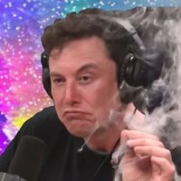 elon(@offensiveprank) 's Twitter Profile Photo