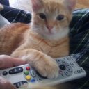 Myra Blake - @iamnosupermom - Twitter