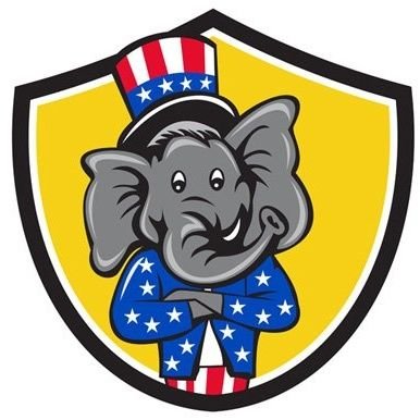 NVD2024's profile picture. #Veteran #Patriot #Texas #MAGA #TrumpWon 🇺🇲