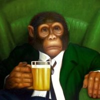 Stacks 🏆 (@weirderfishes) 's Twitter Profile Photo