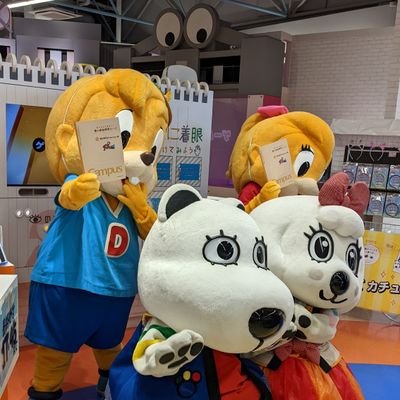 aoipanda512's profile picture. 