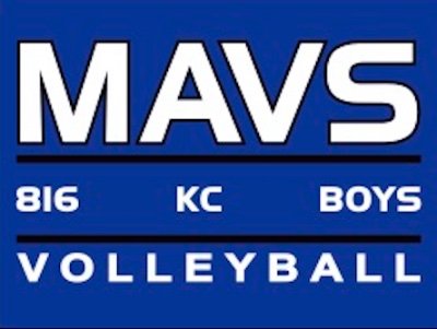 MAVS Volleyball Profile