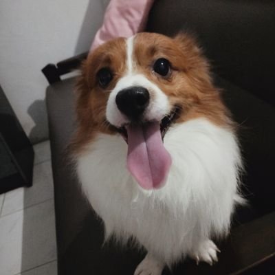 Agnes_A_H's profile picture. あそびな