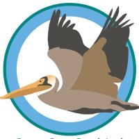 Save Our Seabirds, Inc.(@SaveOurSeabirds) 's Twitter Profile Photo