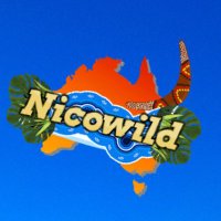 Nicowild (@nicowild_57) 's Twitter Profile