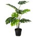 Life Science Botany Zoology (@botany_zoology) Twitter profile photo Life Science Botany Zoology (@botany_zoology) Twitter profile photo
