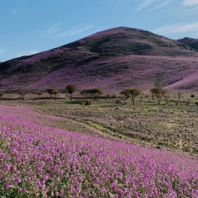 برق النير