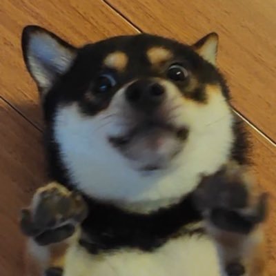 Routauさんのプロフィール画像