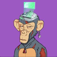 See Willy (@seewilly1) 's Twitter Profile