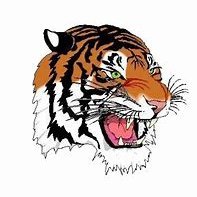ChagrinSoftball's profile picture. Chagrin Falls Tigers Softball