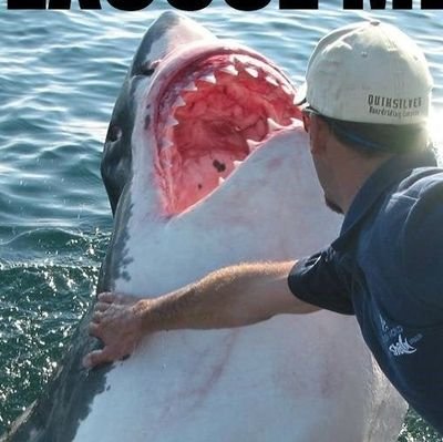 xfrozensky's profile picture. 