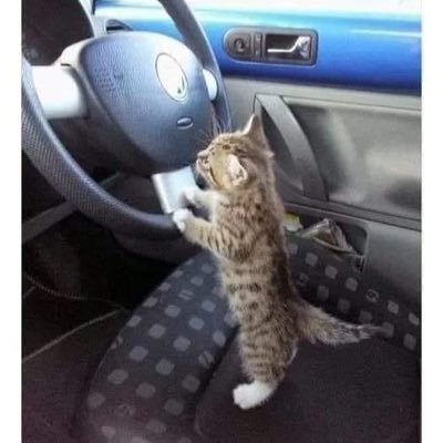 TechtonicTech's profile picture. 28/m/canada 🔞 I am the goodest boy~