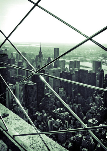 Establishd_1986's profile picture. 