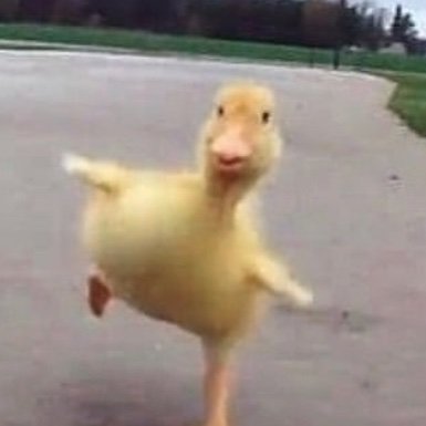 Loo13s's profile picture. 