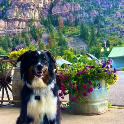 JeanneMcbrien's profile picture. Native Texan, mom., Catholic, 2nd amendment. Lover of liberty, wine, and dogs.  DeSantis 2028