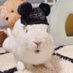 うさぎのしろっぷとみにー🐰🌼 (@usaginoshiroppu) Twitter profile photo うさぎのしろっぷとみにー🐰🌼 (@usaginoshiroppu) Twitter profile photo