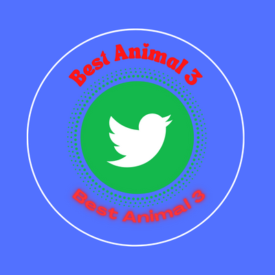 Welcome to my 
#BestAnimal
🐕‍🦺🐈🐎
😻ANIMAL
❤️Community
😻 Best Animal Photos & Videos from World!
@BestAnimal3

🐕‍🦺🐈🐎