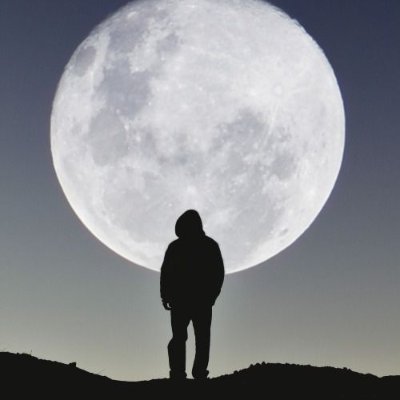 TomTom01147548's profile picture. #SomniaNetwork