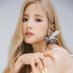 핑핑 (@apinkk___) Twitter profile photo 핑핑 (@apinkk___) Twitter profile photo