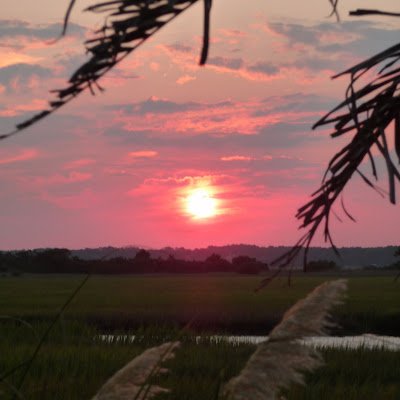 HASMBELL's profile picture. 