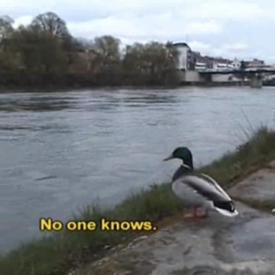 xxdos's profile picture. Lo siento, cuenta abandonada durante un tiempo.