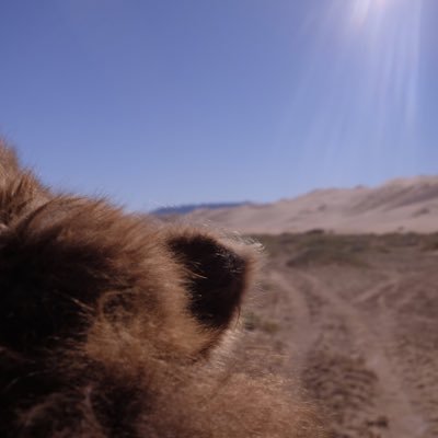 Camelback_'s profile picture. 