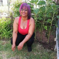 Scheepers Marianne (@scheepersmarian) 's Twitter Profile