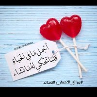 سعد عاااامر (@b9e35bb49f61416) 's Twitter Profile