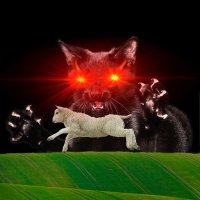 Necro Kittie🍋🐈 (@necrokittie) 's Twitter Profile