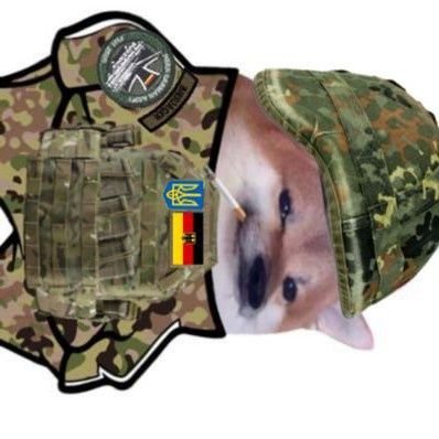░M░Y░ ░M░E░M░E░S░ ░I░N░ ░B░I░O░
meme brigade
bonkus maximus