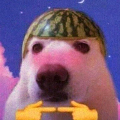 KvotheNFTs's profile picture. What is a NFT? 

Kvothe#4534