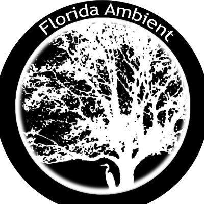 FloridaAmbient Profile Picture