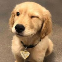 Riquee-SSJ (@riquelmee8) 's Twitter Profile