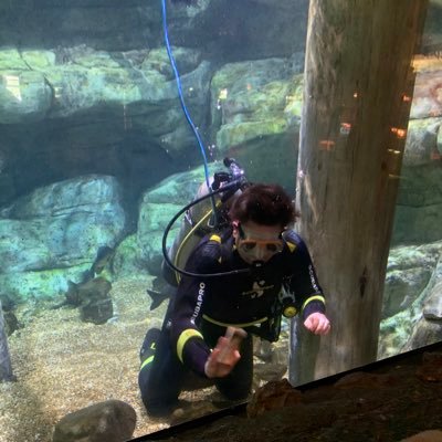 Willie_DingDong's profile picture. K.C. born and raised.