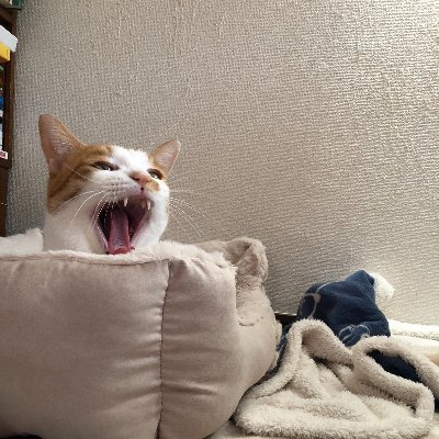 0mc1YTW5EaS8zAA's profile picture. 株がんばってますがほぼ初心者です。たくさん勉強したくて皆さんのツイートを参考にさせていただいています。よろしくお願いします！