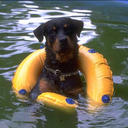 Rory Lang - @RoryLang67 - Twitter