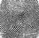 Live Scan, Fingerprinting, Notary Public, Loan Signing. (Mobile Service)