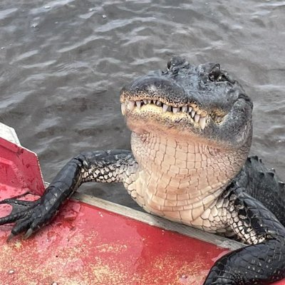 Yung_Medic's profile picture. Banana. 🍌