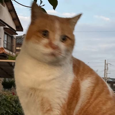 野球、サッカーを観るのが好きです。 今fc24 ff16 やってます。パワプロ 2022栄冠ナイン休憩。モンハン 最近スニーカーも興味あり。時間が足りない! #D5500#Nikon