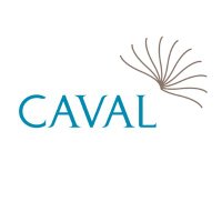 CAVAL Research & Information Group (CRIG) Seminar (@crigseminar) 's Twitter Profile