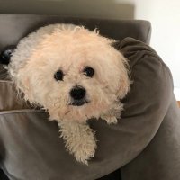 gmags (@gmm8223) 's Twitter Profile